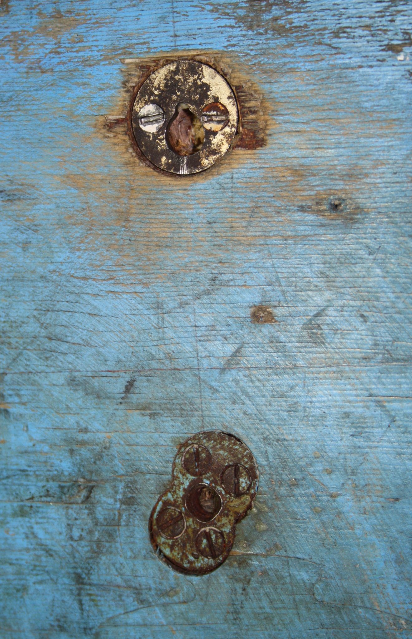 Blue Foundry Pattern - Image 5