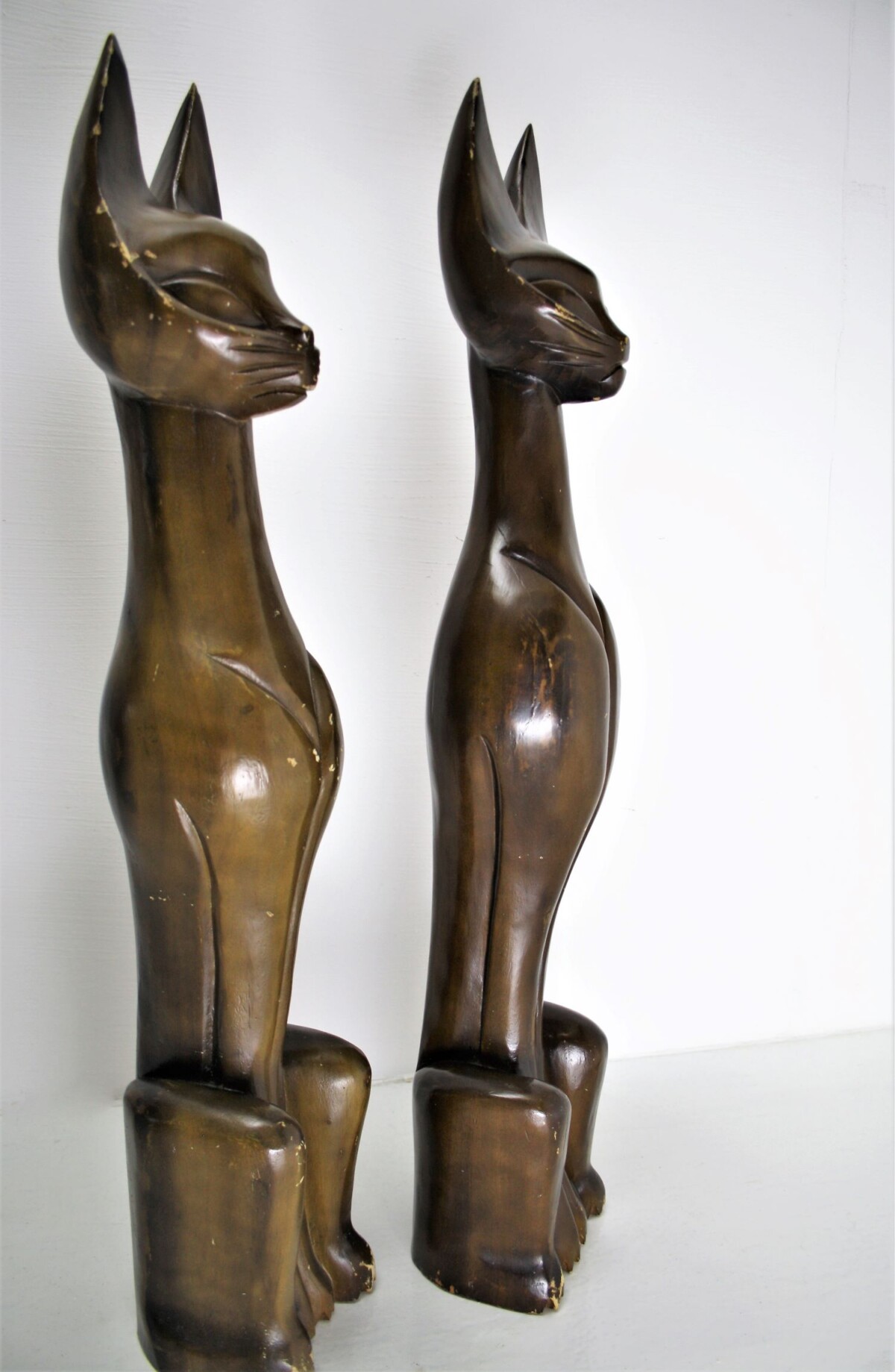 A Pair of Sphynx Cats