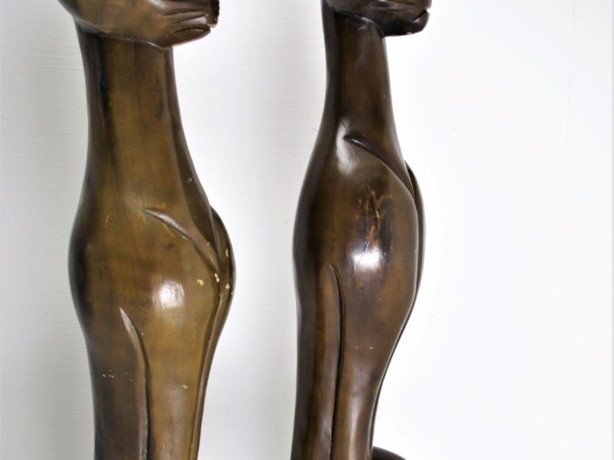 A Pair of Sphynx Cats