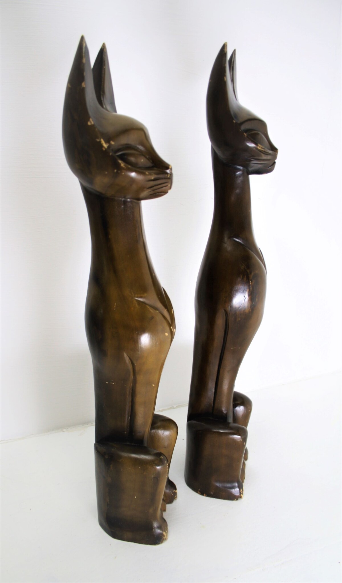 A Pair of Sphynx Cats - Image 11