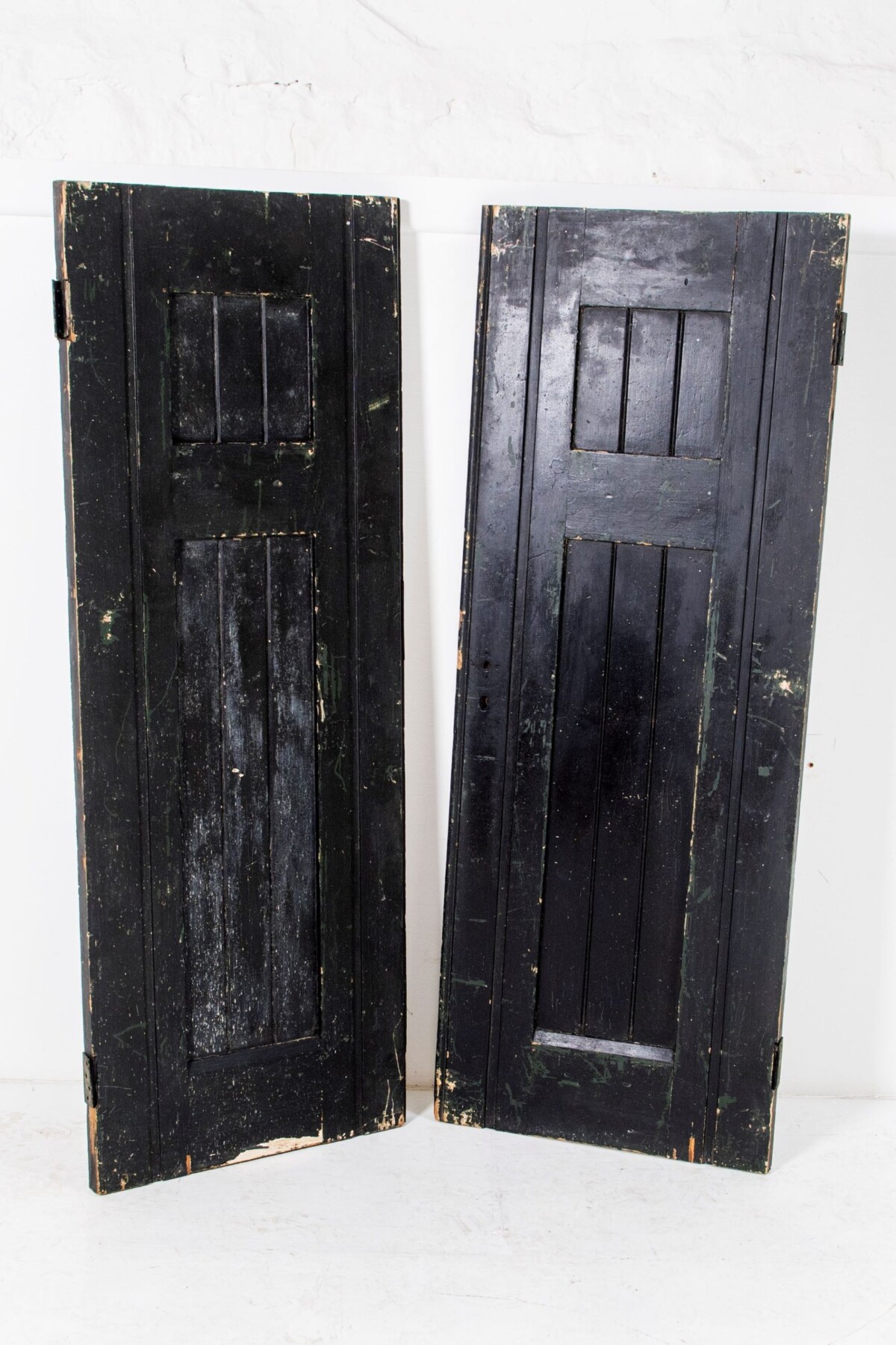 Old Hand Painted Chinese Doors - Image 10