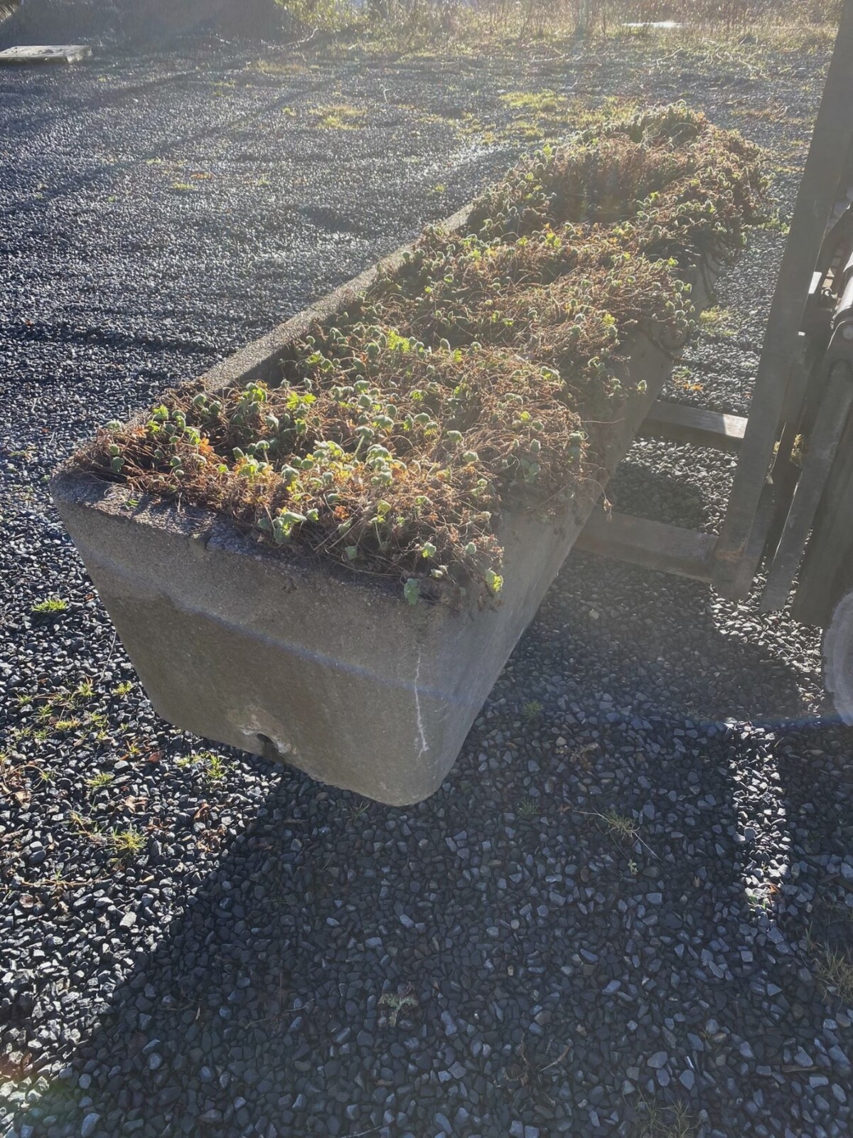 Large Scale 1970s Concrete Planter Trough in the Manner of Willy Guhl - Image 6