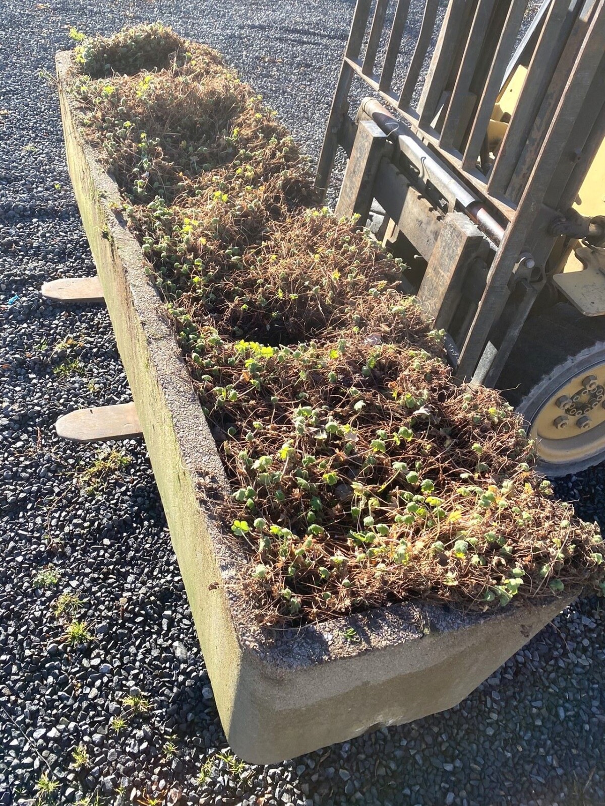 Large Scale 1970s Concrete Planter Trough in the Manner of Willy Guhl - Image 5