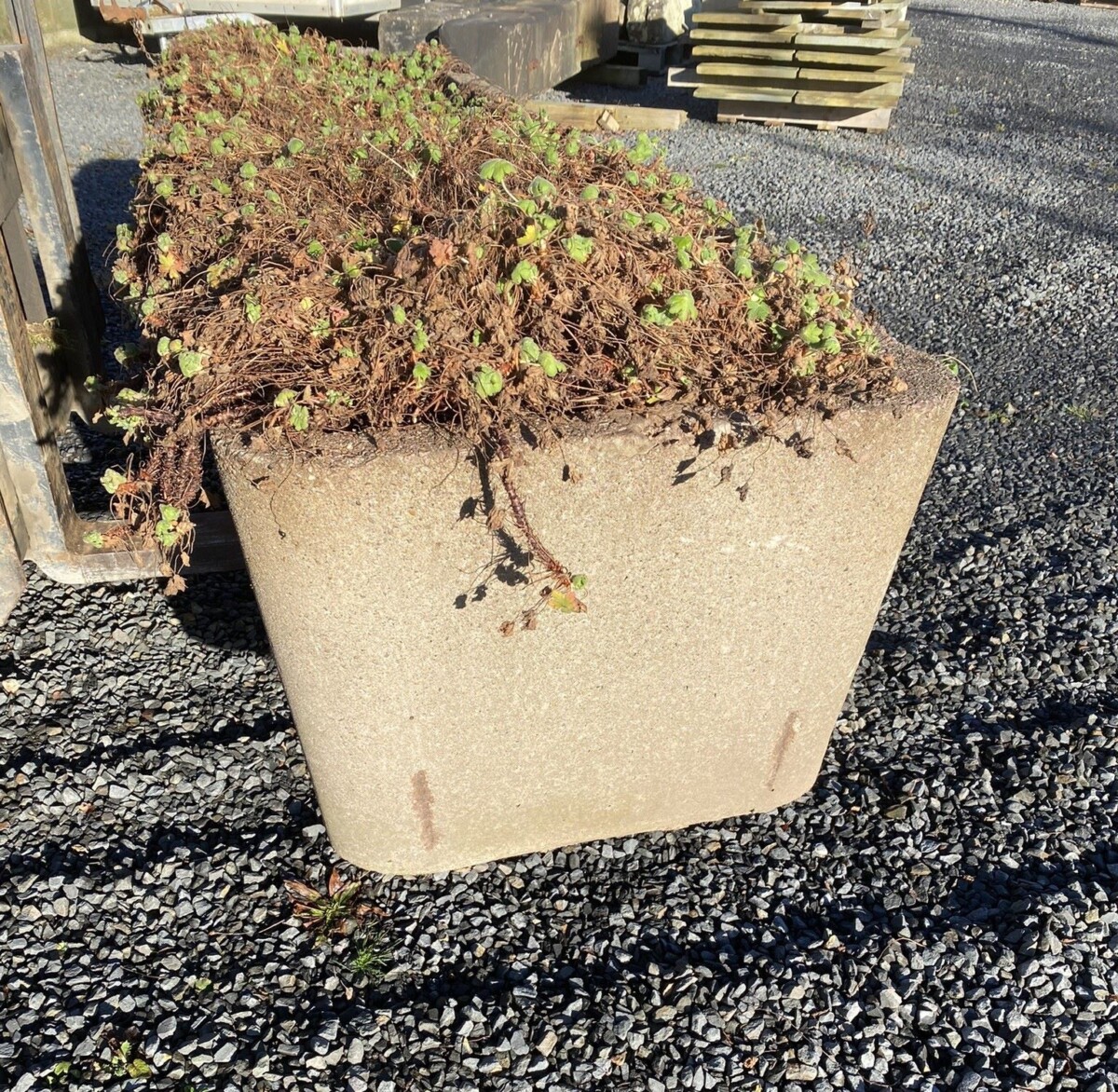 Large Scale 1970s Concrete Planter Trough in the Manner of Willy Guhl - Image 4