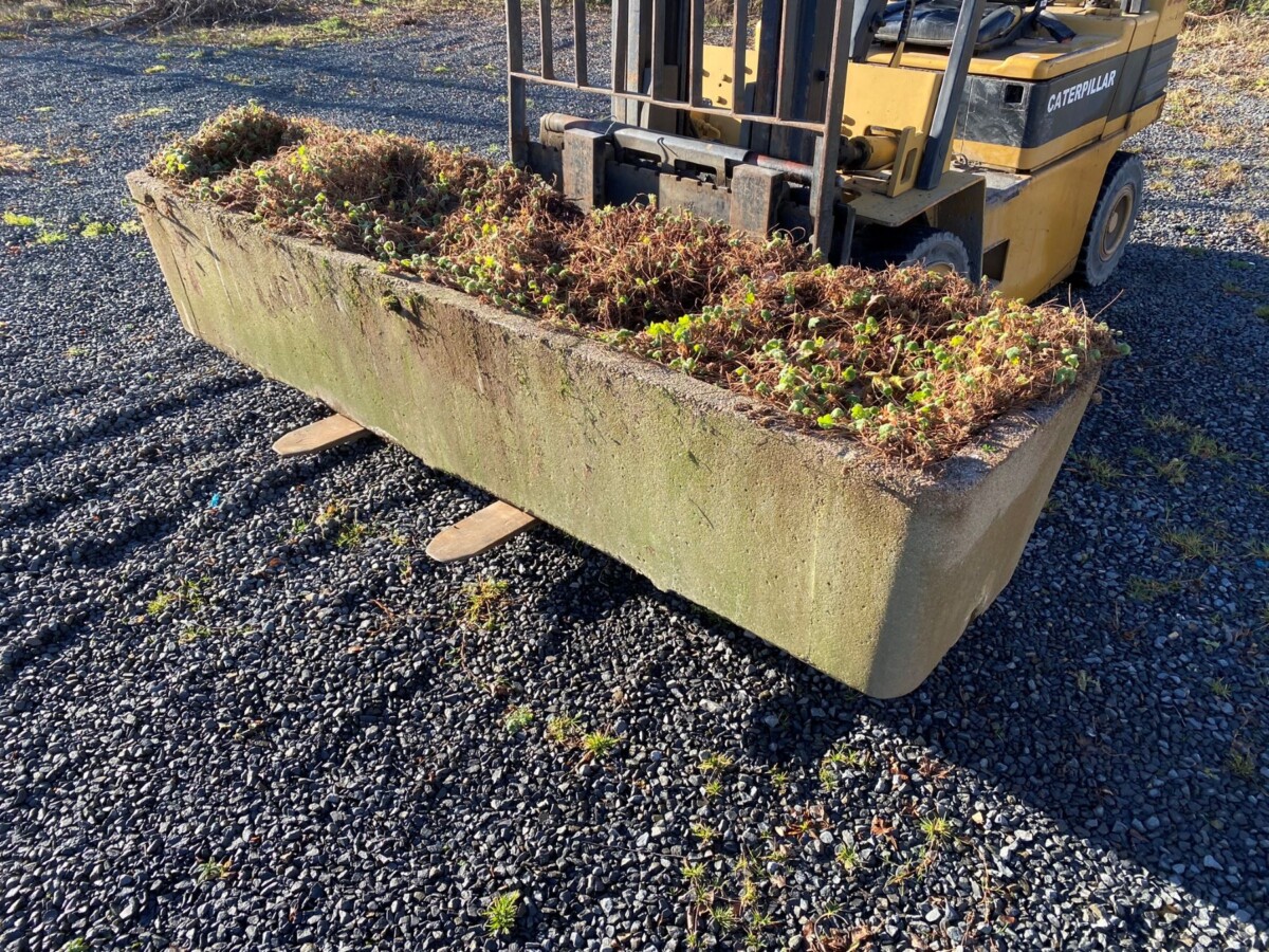 Large Scale 1970s Concrete Planter Trough in the Manner of Willy Guhl - Image 2