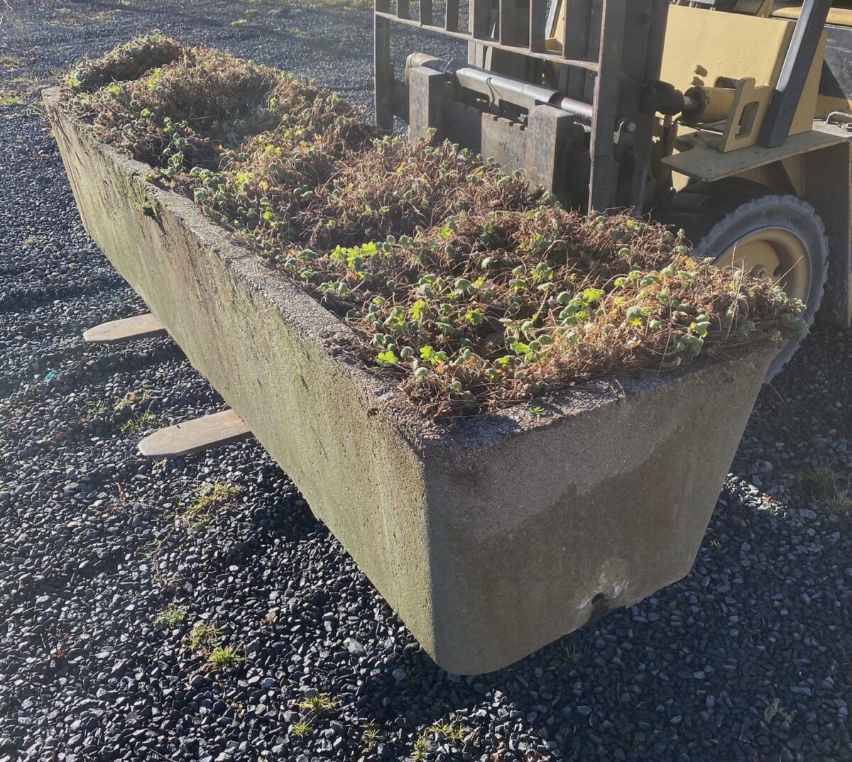 Large Scale 1970s Concrete Planter Trough in the Manner of Willy Guhl - Image 7