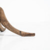 French Oak Plinth Pedastal Table, Decorative Plant Stand or Sculpture Display - Image 6