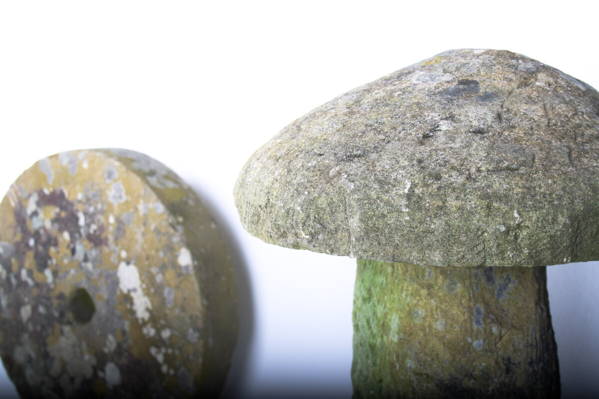 Old Weathered Carved Stone Staddlestone Mushroom Garden Ornament - Image 12