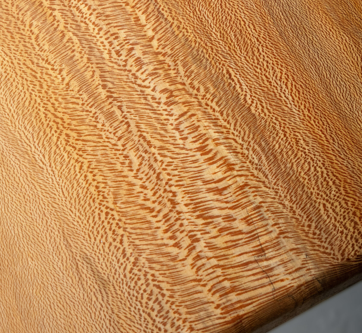 Large Cotemporary London Plane Solid Wood Live Edge Dining Table - 10 Person - Image 12