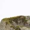 Primitive Carved Stone Trough Planter Weathered Organic Garden Feature | Bonsai Display - Image 5