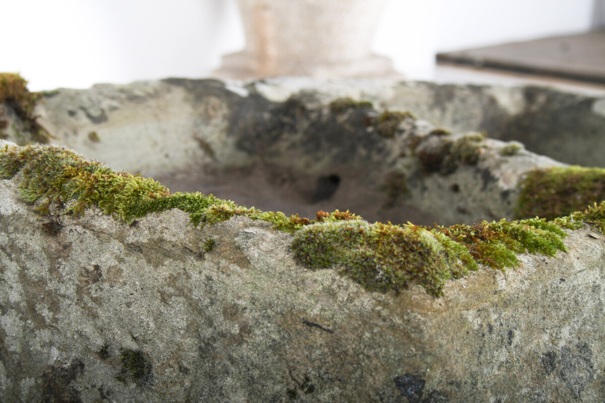 Primitive Carved Stone Trough Planter Weathered Organic Garden Feature | Bonsai Display - Image 13