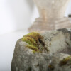 Primitive Carved Stone Trough Planter Weathered Organic Garden Feature | Bonsai Display - Image 14