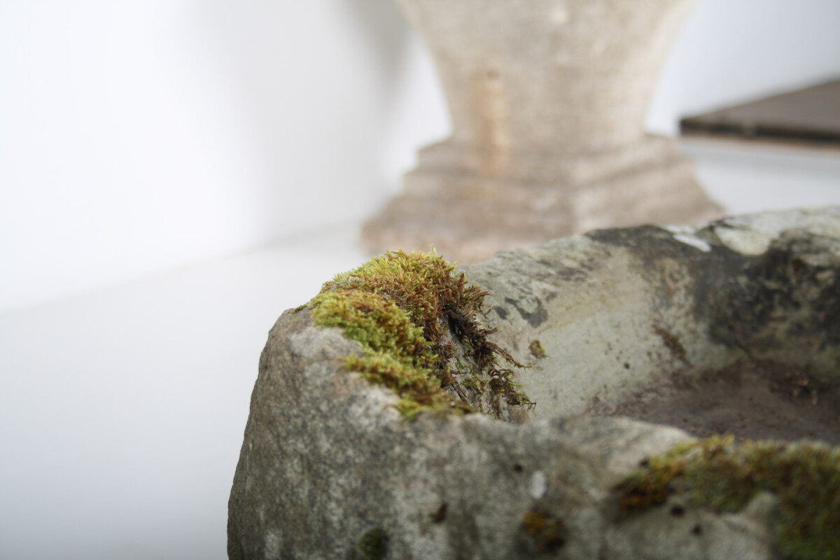 Primitive Carved Stone Trough Planter Weathered Organic Garden Feature | Bonsai Display - Image 14