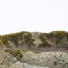 Primitive Carved Stone Trough Planter Weathered Organic Garden Feature | Bonsai Display - Image 6