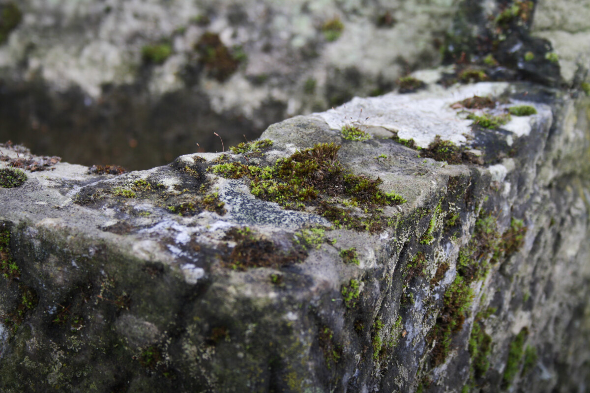 Carved Stone Trough Planter Weathered Sandstone Garden Feature - Image 13
