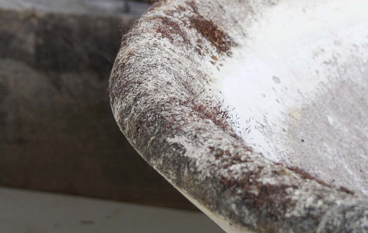 A Large 1960s Mid Century Modernist Concrete Planter in the manner of Willy Guhl - Image 14