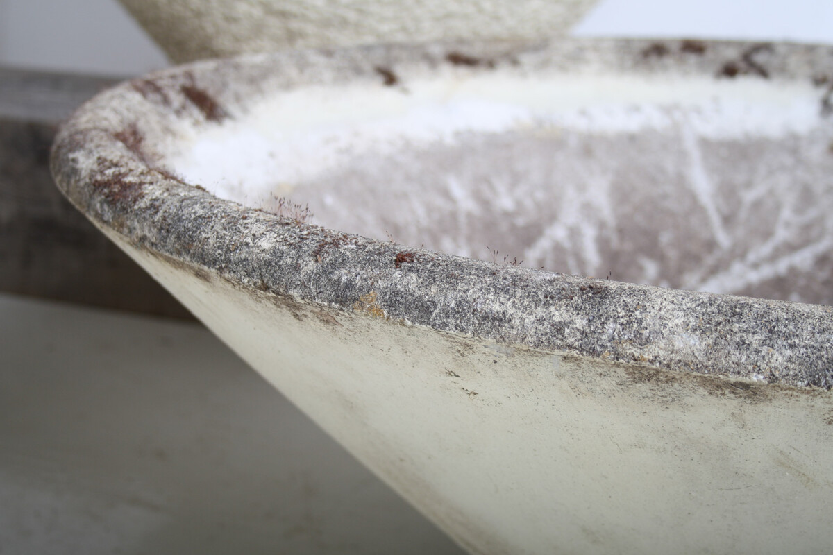 A Large 1960s Mid Century Modernist Concrete Planter in the manner of Willy Guhl - Image 15