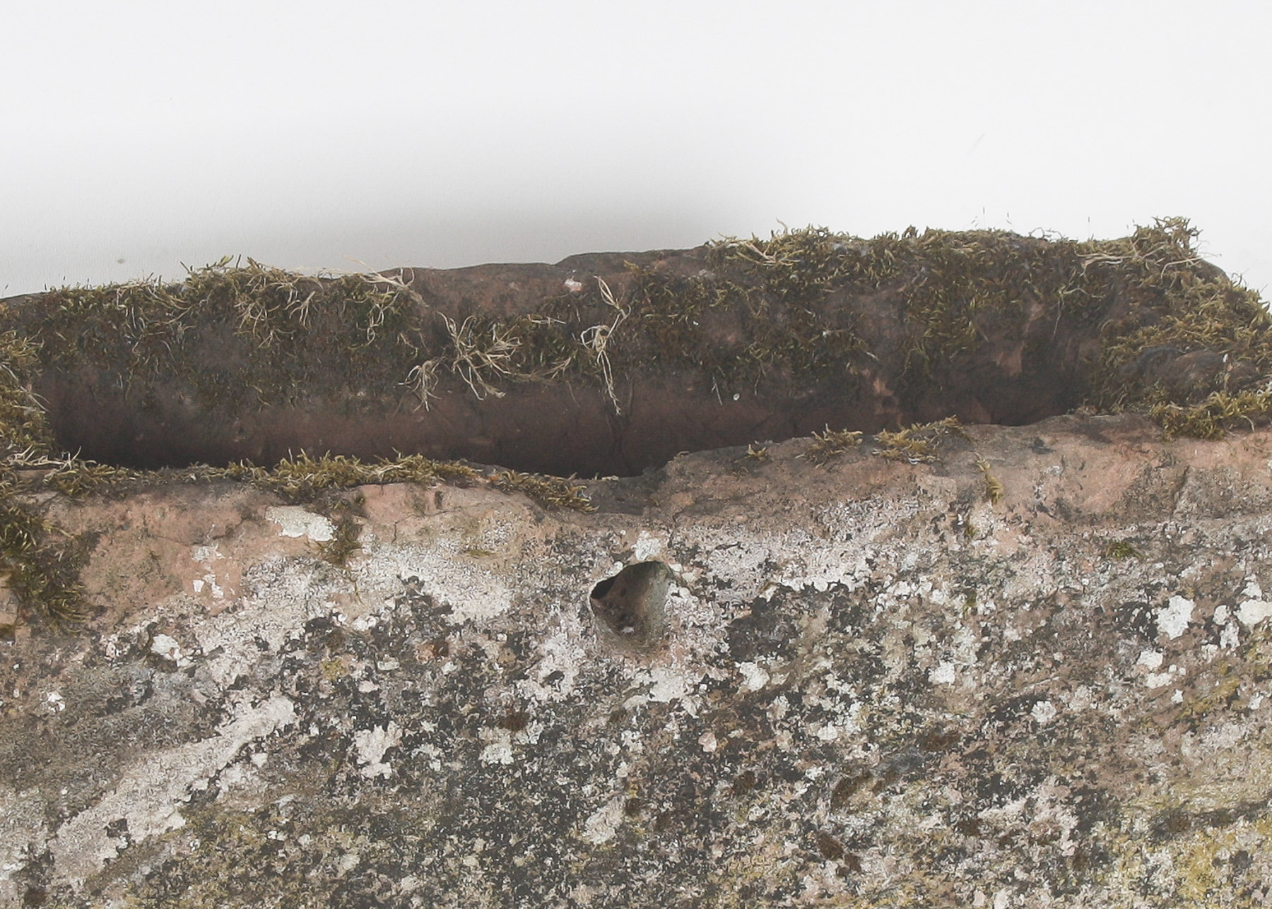 Small Antique Hand Carved Red Sandstone Trough Planter | Weathered Garden Water Feature - Image 3